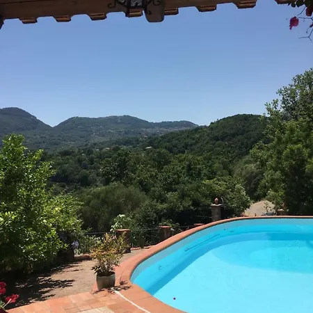Oda ve Kahvaltı Ludonicco