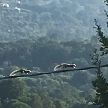 Ludonicco San Giovanni a Piro